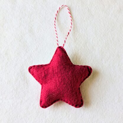 Étoile de Noël rouge houx – Image 2