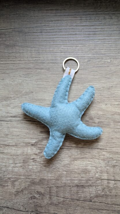 Étoile de mer bleue – Image 5